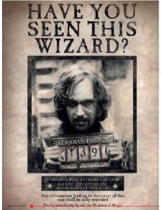 Cuadro de vidrio Sirius Black - Harry Potter