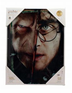 Cuadro de vidrio Voldemort vs. Harry Potter - Harry Potter