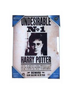 Cuadro de vidrio Indeseable Nº1 - Harry Potter