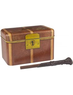 Hucha mágica Maleta de Hogwarts - Harry Potter