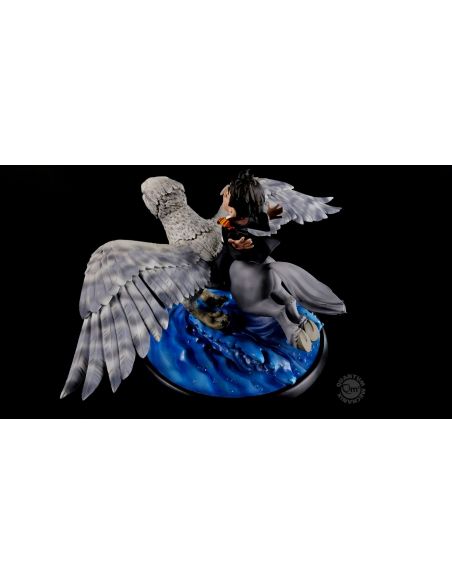 Figura Harry Potter y Buckbeak Q-Fig Max - Harry Potter