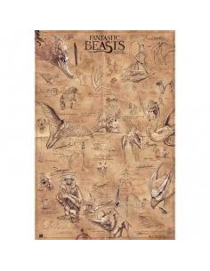 Póster Criaturas Mágicas - Animales Fantásticos