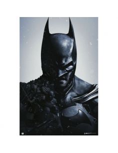 Póster Batman Arkham Origins - DC Comics