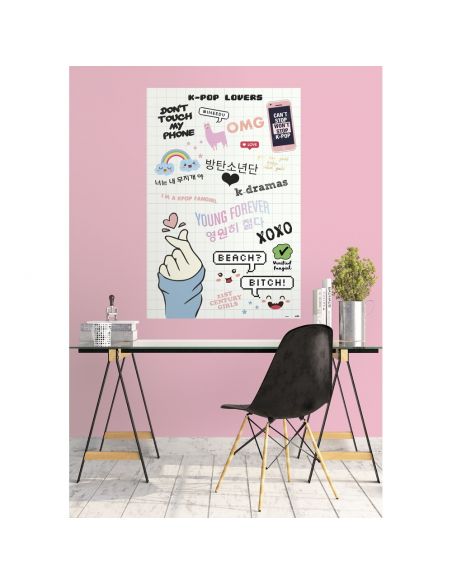 Póster K POP Lovers