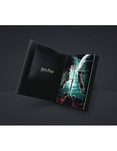 Barajas de naipes Collector's Set Limited Edition Harry Potter