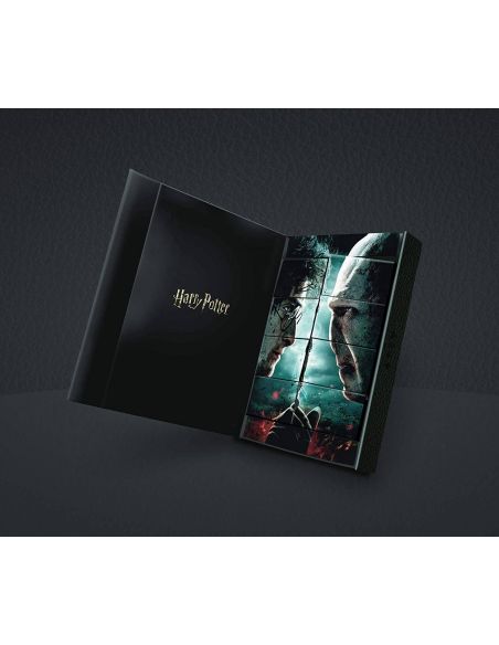 Barajas de naipes Collector's Set Limited Edition Harry Potter