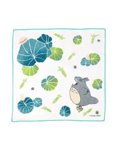 Mini Toalla Wasabi 29 x 29 cm - Mi vecino Totoro