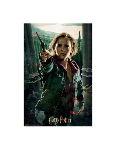 Puzzle lenticular Hermione Granger 300 piezas - Harry Potter