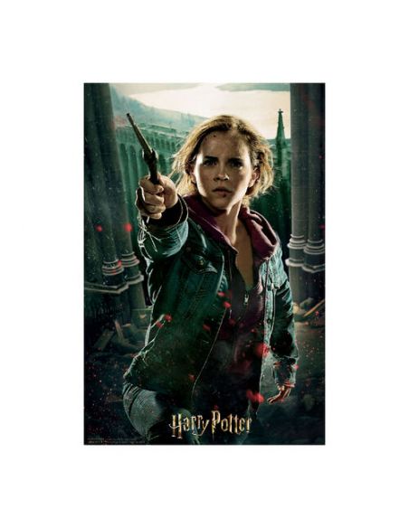 Puzzle lenticular Hermione Granger 300 piezas - Harry Potter