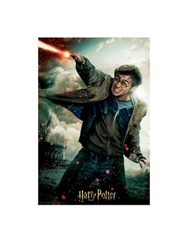 Puzzle lenticular Harry Potter 300 piezas - Harry Potter