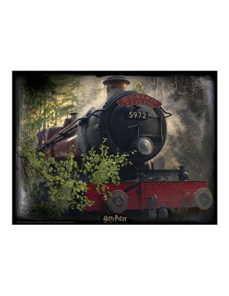 Puzzle lenticular Hogwarts Express 500 piezas - Harry Potter