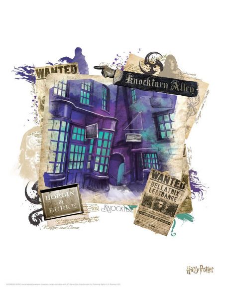 Set de 10 Litografías escenarios Mágicos - Harry Potter