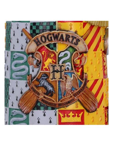 Jarra de cerveza Hogwarts Snitch Dorada - Harry Potter
