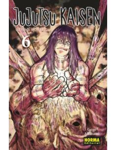 Jujutsu Kaisen 06
