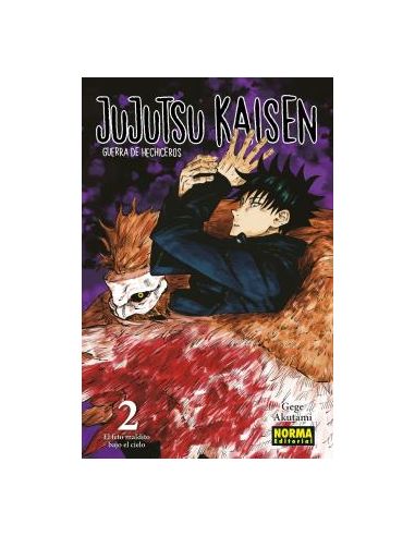 Jujutsu Kaisen 02