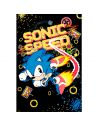 Póster Sonic Speed