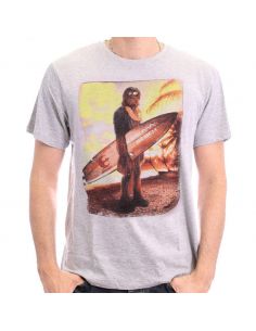 Camiseta Chewie on the Beach - Star Wars