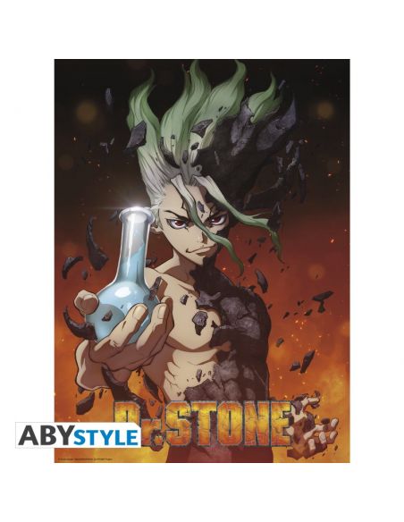 Pack Posters Dr Stone