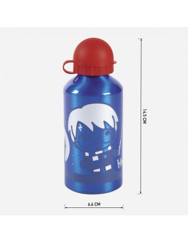 Botella metálica Harry Potter azul - Harry Potter