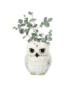 Macetero Harry Potter pared Hedwig - Harry Potter