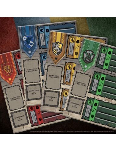 Juego Harry La Copa de las Casas ESPAÑOL - Harry Potter