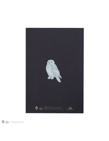 Libreta Harry Potter retrato Harry Potter CineReplicas