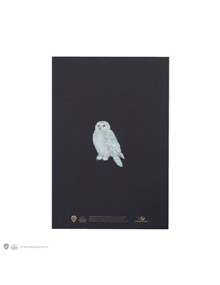 Libreta Harry Potter retrato Harry Potter CineReplicas