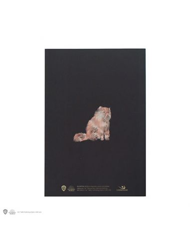 Libreta Harry Potter retrato Hermione Granger CineReplicas