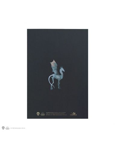 Libreta Harry Potter retrato Luna Lovegood CineReplicas