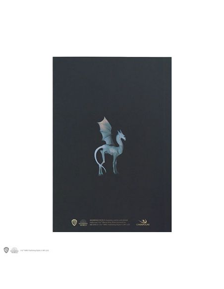 Libreta Harry Potter retrato Luna Lovegood CineReplicas