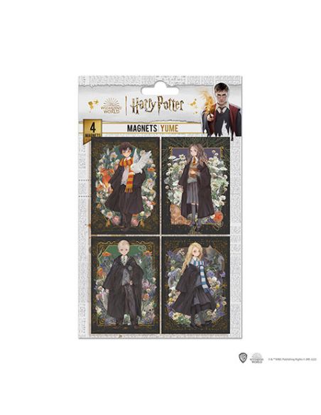 Pack Imanes Harry Potter Retratos CineReplicas