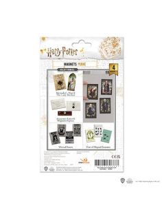 Pack Imanes Harry Potter Retratos CineReplicas 2