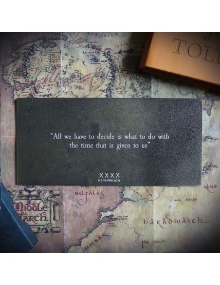 Placa Metálica El Señor de los Anillos Compañía - Edición Limitada - The Lord Of The Rings