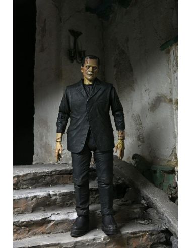 Universal Monsters Figura Ultimate Frankenstein's Monster (Color) 18 cm NECA