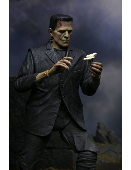 Universal Monsters Figura Ultimate Frankenstein's Monster (Color) 18 cm NECA