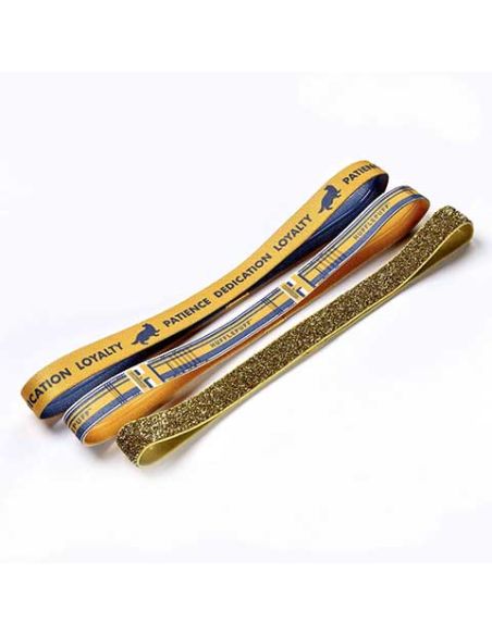 Pack de Diadema Harry Potter casa Hufflepuff - Harry Potter