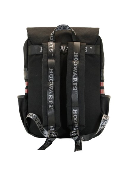 Harry Potter Express-Mochila Oxford, Multicolor