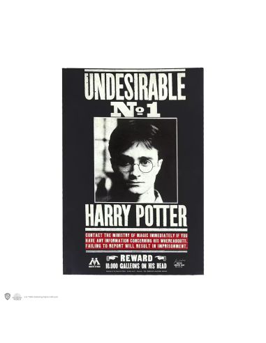 Libreta Harry Potter Tapa Blanda - Libreta Indeseable Nº1