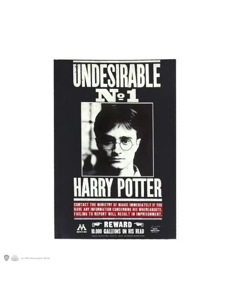 Libreta Harry Potter Tapa Blanda - Libreta Indeseable Nº1