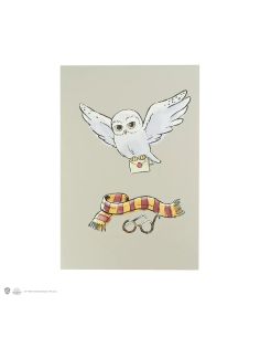 Libreta Harry Potter Tapa Blanda - Libreta Hedwig