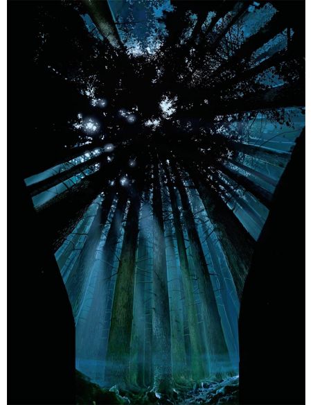 El arte de Harry Potter