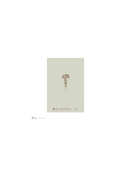 Libreta Harry Potter Tapa Blanda - Libreta Mandragora