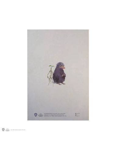 Libreta Harry Potter Tapa Blanda - Libreta Newt Scamander