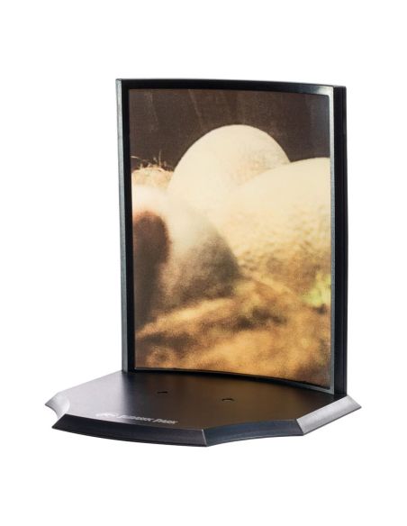 Diorama Huevo Velociraptor - Toyllectible Treasures - Diorama Jurassic Park