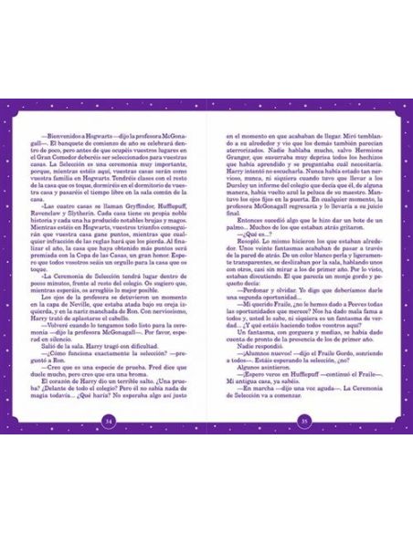 Harry Potter y la Piedra Filosofal - Edición Limitada por el 25 Aniversario