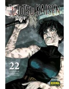 Jujutsu Kaisen 22