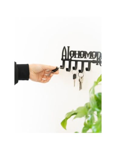 Colgador de Llaves Harry Potter Alohomora