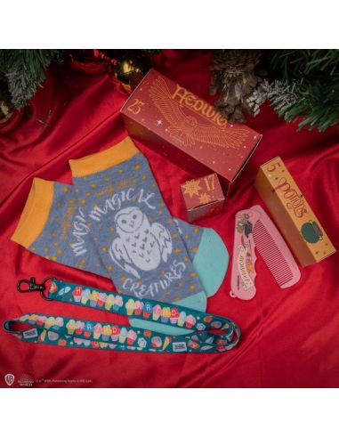 Calendario de adviento Harry Potter Deluxe 2024 Hogwarts