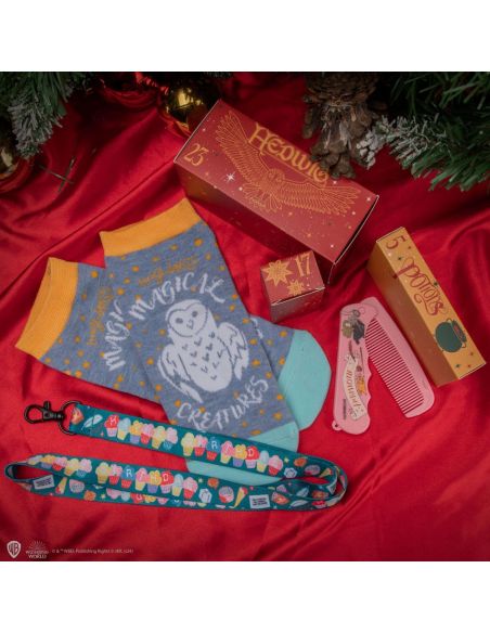 Calendario de adviento Harry Potter Deluxe 2024 Hogwarts