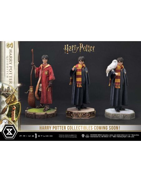 Figura Harry Potter Quidditch Edition 31 cm – Harry Potter